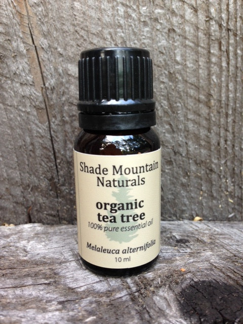 Tea Tree: Organic Essential Oil